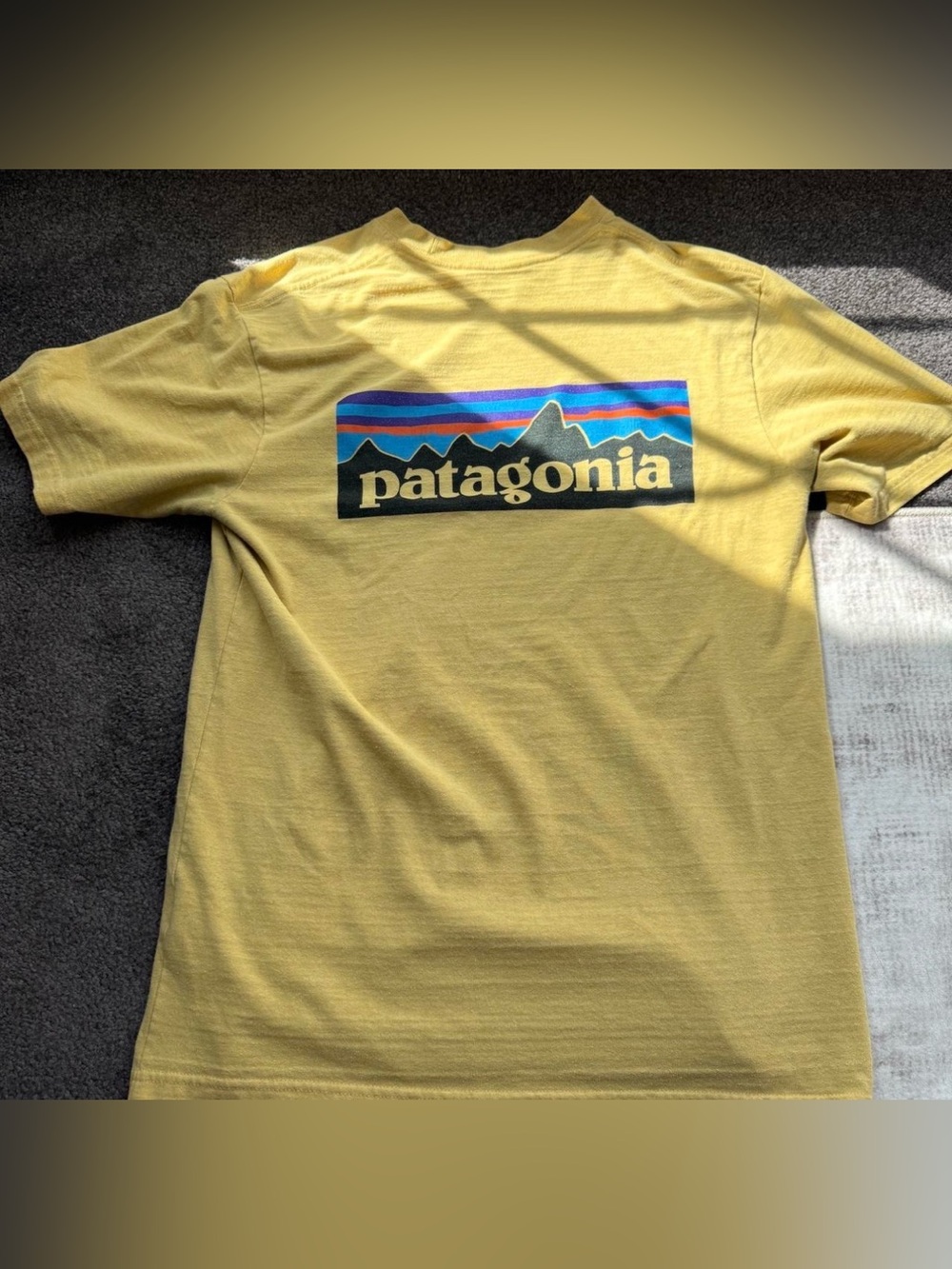 Patagonia Men's S Yellow Crew Neck Regular Fit Short Sleeve T-Shirt